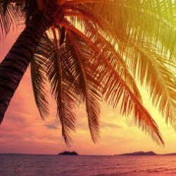 Group logo of Fashion